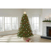 Elegant Grand Fir LED Pre-Lit Artificial Christmas Tree with Timer with 2000 Warm White Lights