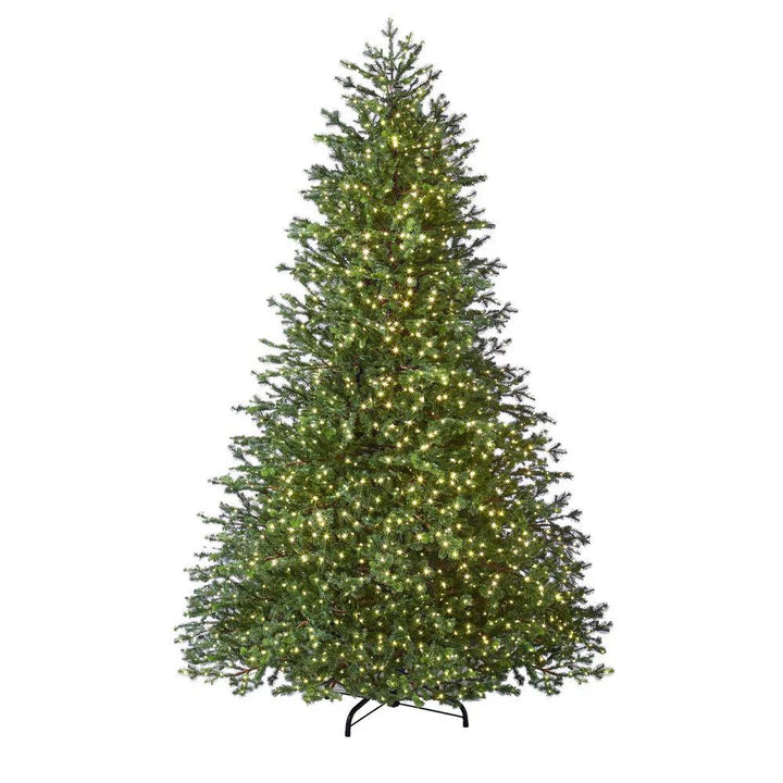 Elegant Grand Fir LED Pre-Lit Artificial Christmas Tree with Timer with 2000 Warm White Lights