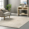 Loni Solid Machine Washable Shag Area Rug 8'x10'