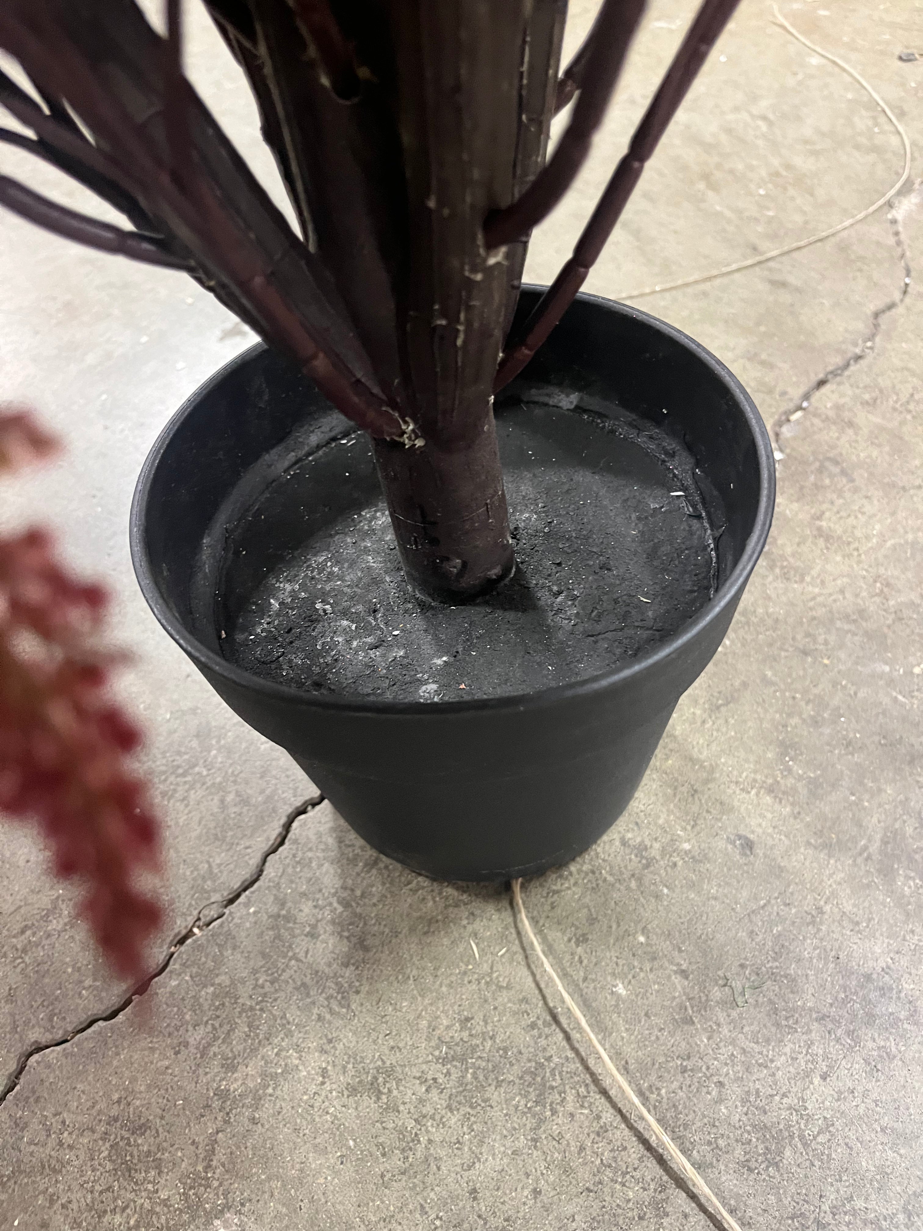 Artificial Cedar Topiary Ball Tree in Black Pot – Salvage & Co Indy