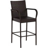 Stewart Outdoor Bar Stool, Set of 2, Brown