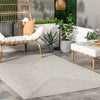 Wynn Braided Indoor/Outdoor Area Rug 7'6
