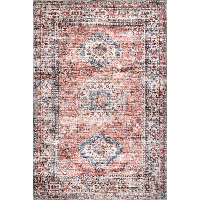 Desna Machine Washable Faded Vintage Area Rug