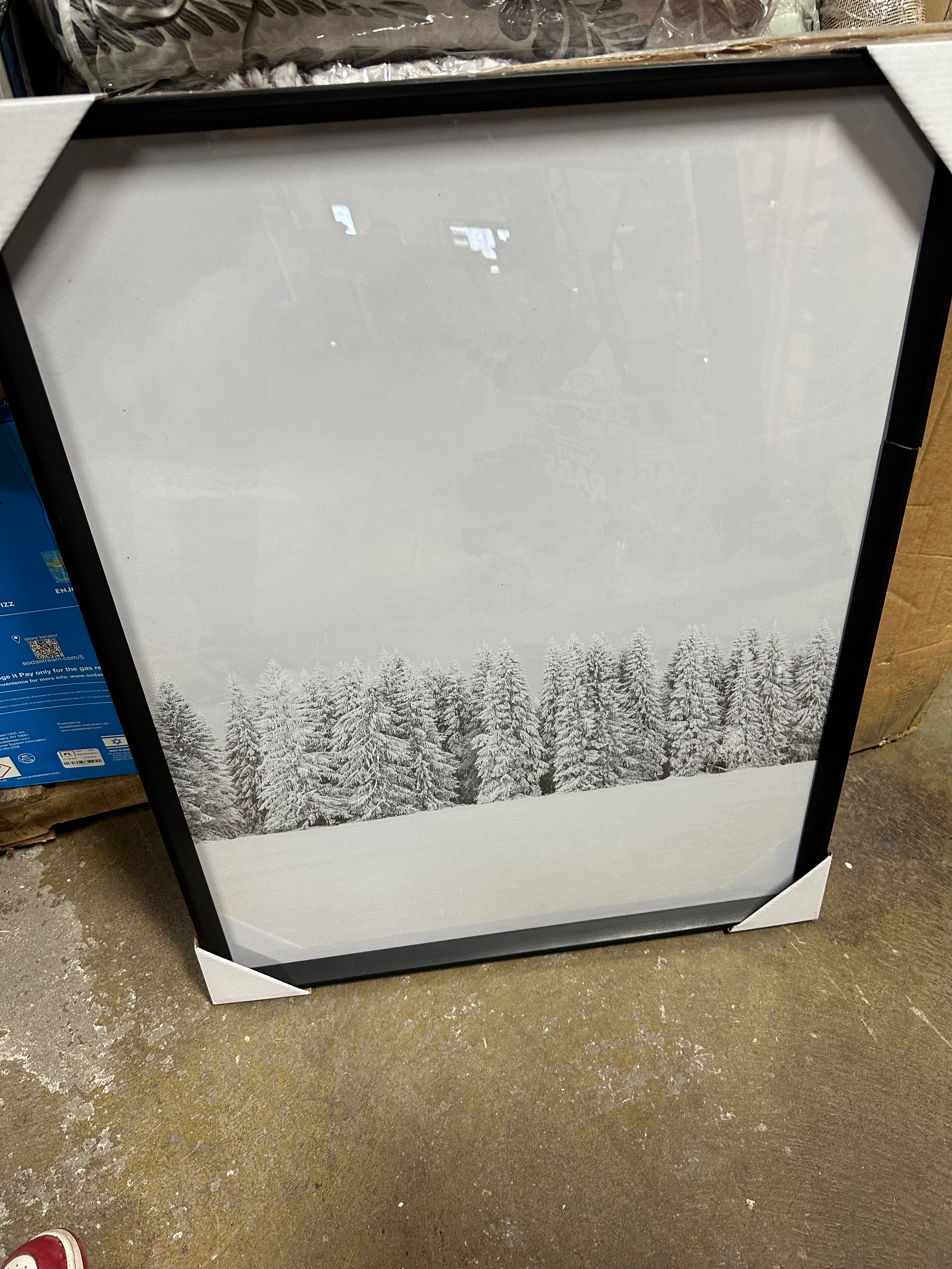 Winter Trees Framed Wall Art