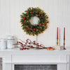 24 in. Pre-Lit Frosted Artificial Christmas Wreath (no further discounts)