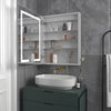 Lighted LED Fog Free Surface/Recessed Mount Silver Mirrored Rectangle Soft Close Medicine Cabinet with Outlet