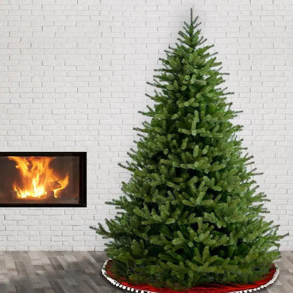 6.5 ft. Norway Fir Tree (no further discounts)