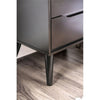 Belkor Mid-Century Modern Wood 2-Drawer Nightstand in Black
