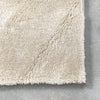 Loni Solid Machine Washable Shag Area Rug 8'x10'