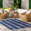 Ida Coastal Ropes Indoor/Outdoor Fringe Area Rug 4'x6'