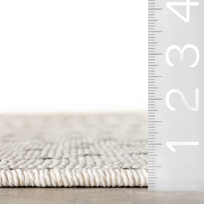 Jacinda Trellis Indoor/Outdoor Area Rug 9'x12'