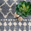 Barbara Moroccan Shag Area Rug
