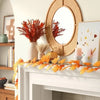 Caning Round Wall Mirror