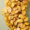 Faux Golden Ash Leaf Fall Wreath - Set of 2