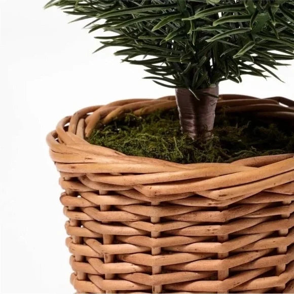 Large Pine Artificial Tree in Basket