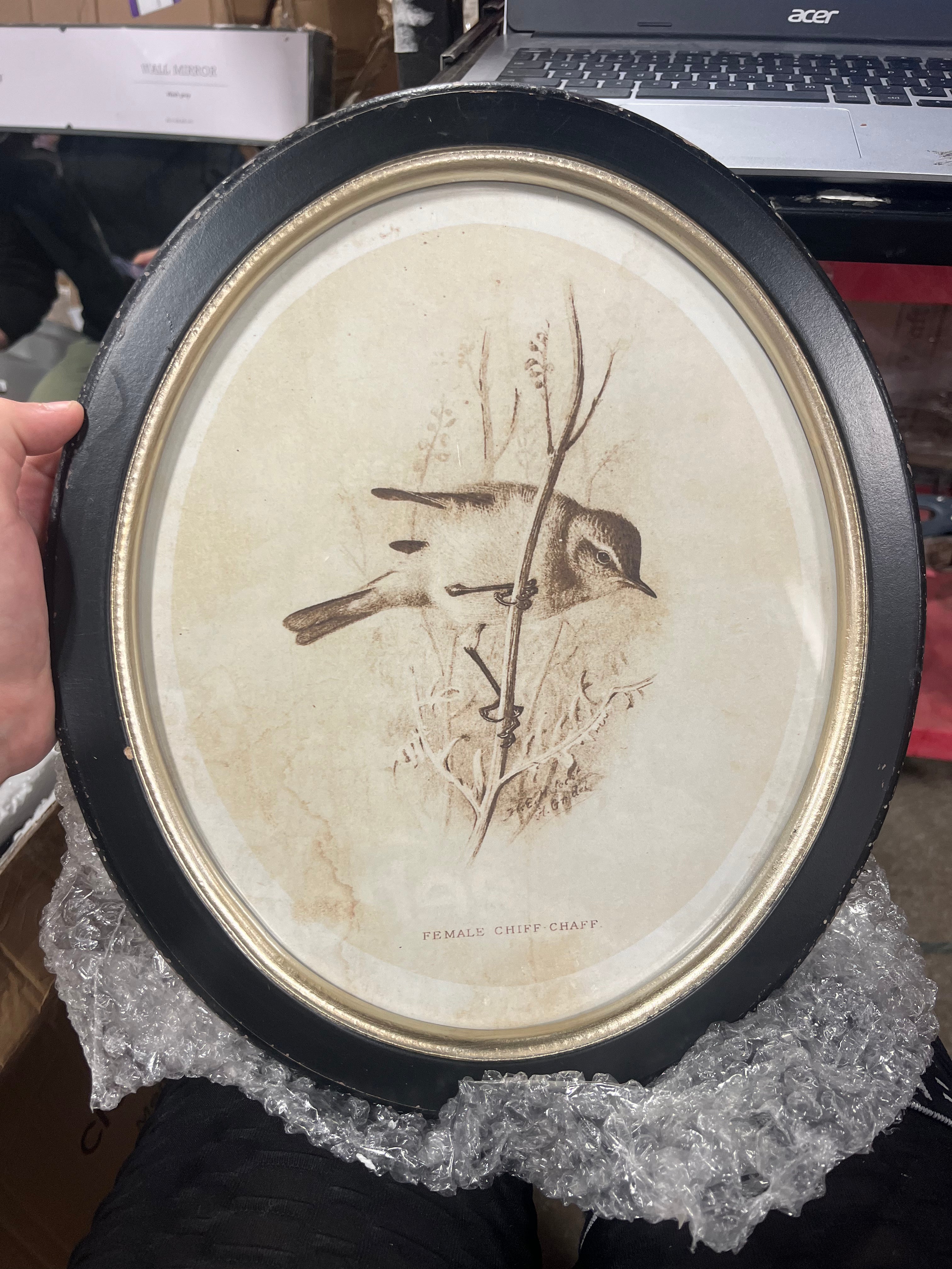 (Set of 4) Round Wood Framed Bird Wall Art Set Black and Ivory