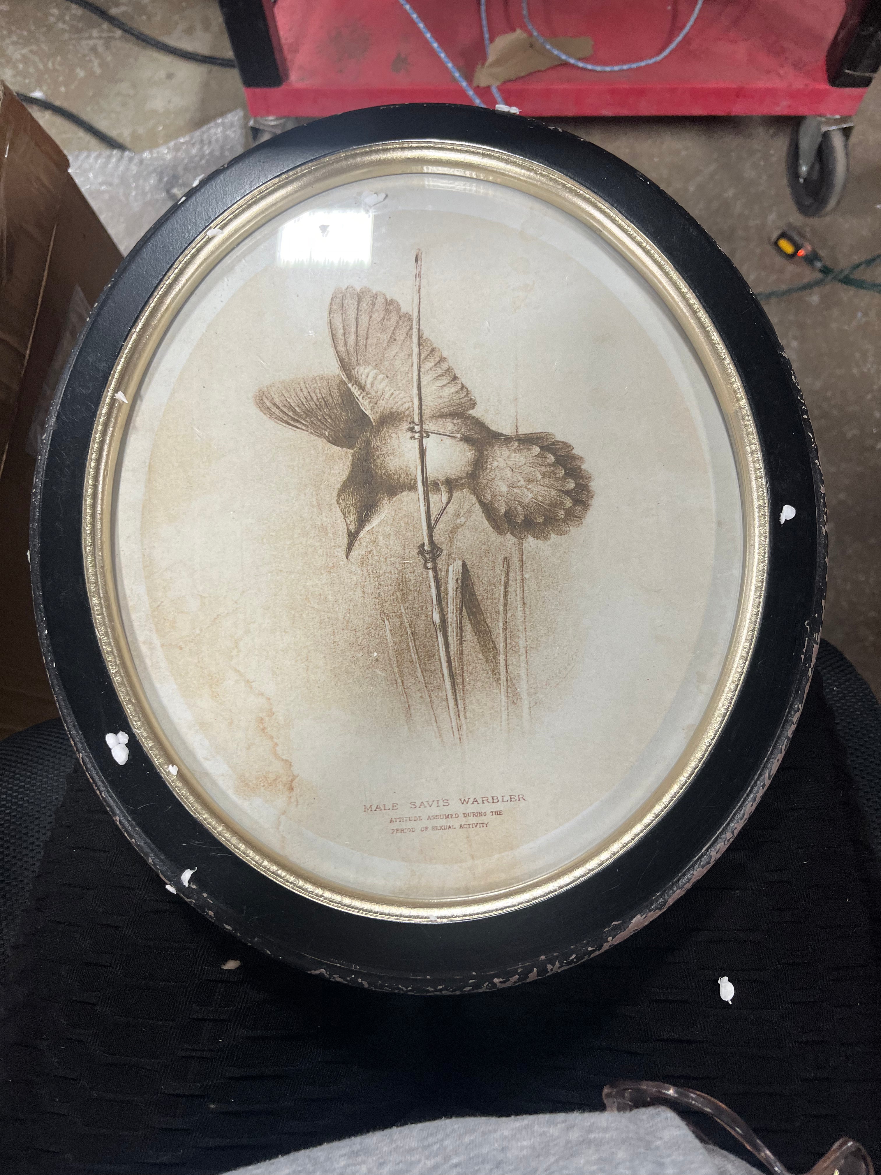 (Set of 4) Round Wood Framed Bird Wall Art Set Black and Ivory