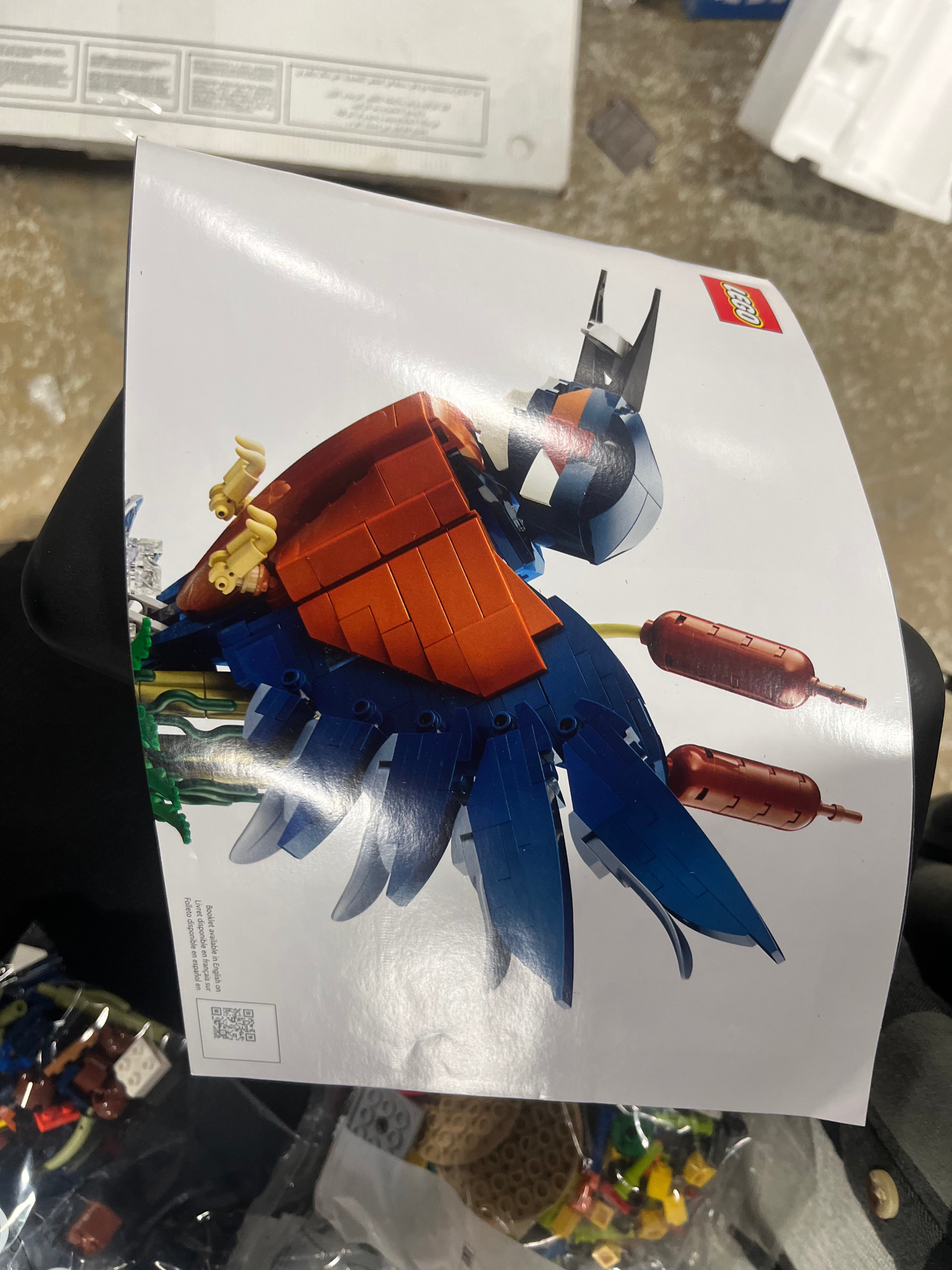 Icons Kingfisher Bird Building Set for Build and Display