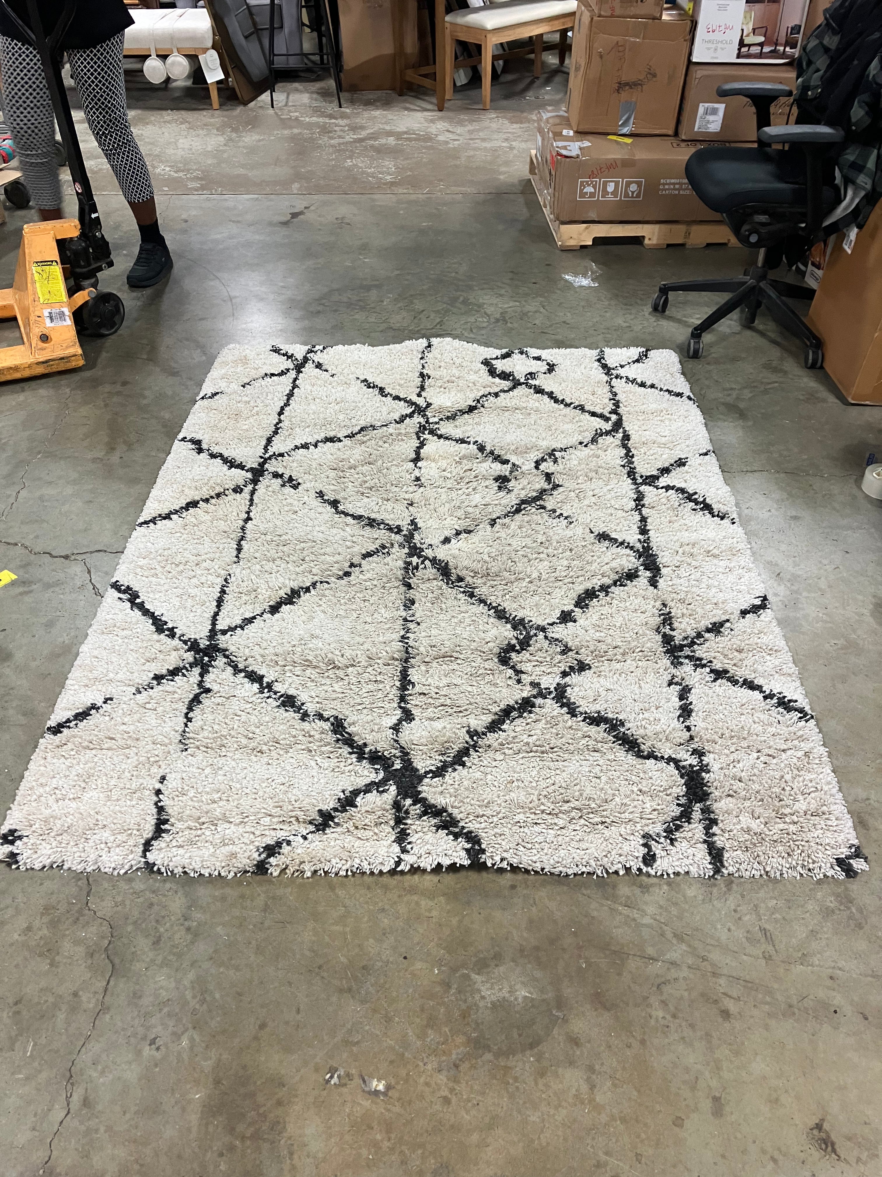 Modern Shag Rug 5x7 Ivory and Black Area Rug