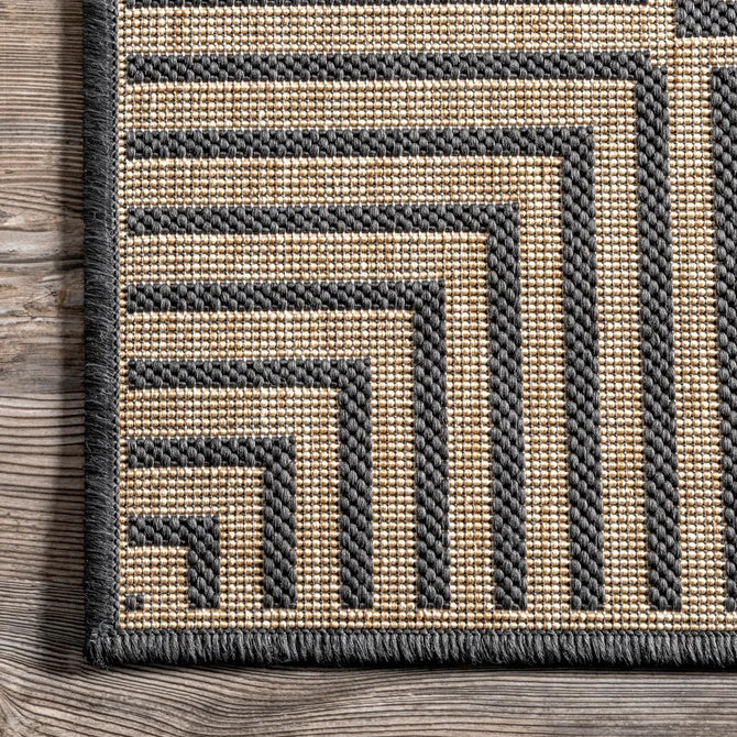 Asha Simple Border Indoor/Outdoor Area Rug 8'x10'