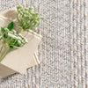 Rowan Braided Texture Indoor/Outdoor Area Rug