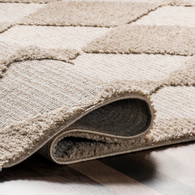 Marissa High/Low Diamond Tassel Area Rug 4'x6'