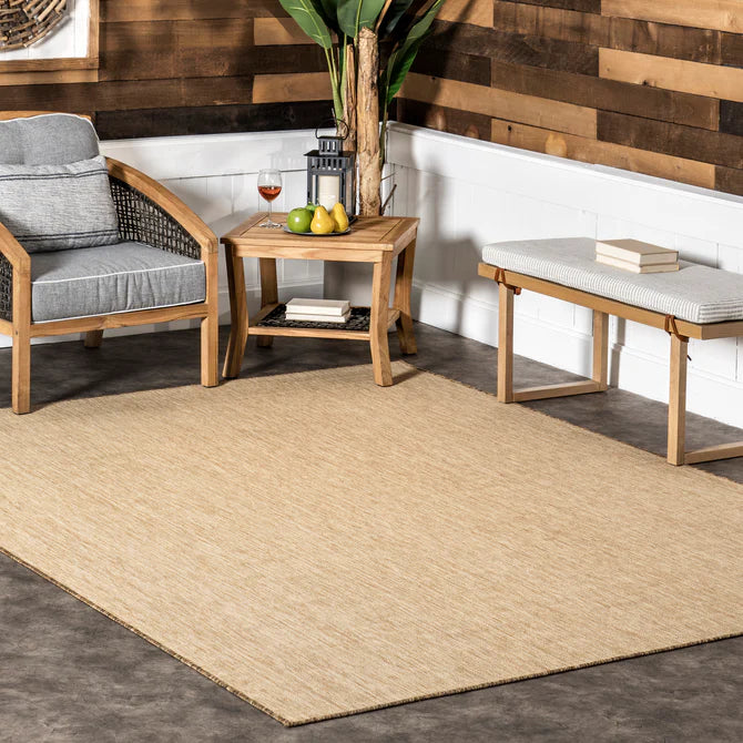 Nakia Transitional Indoor/Outdoor Area Rug  4' x 6'