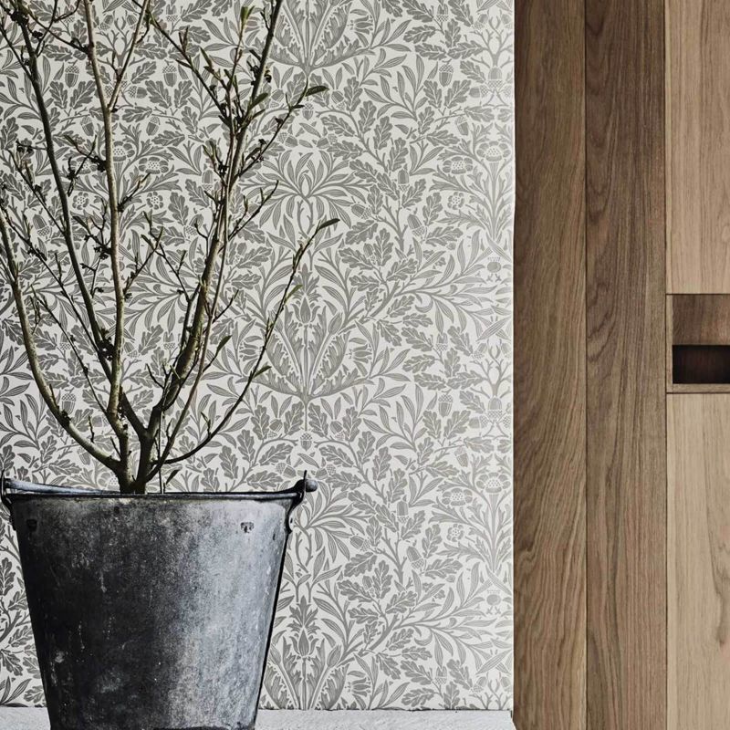 Pure Acorn Wallpaper