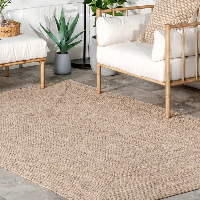 Wynn Braided Indoor/Outdoor Area Rug