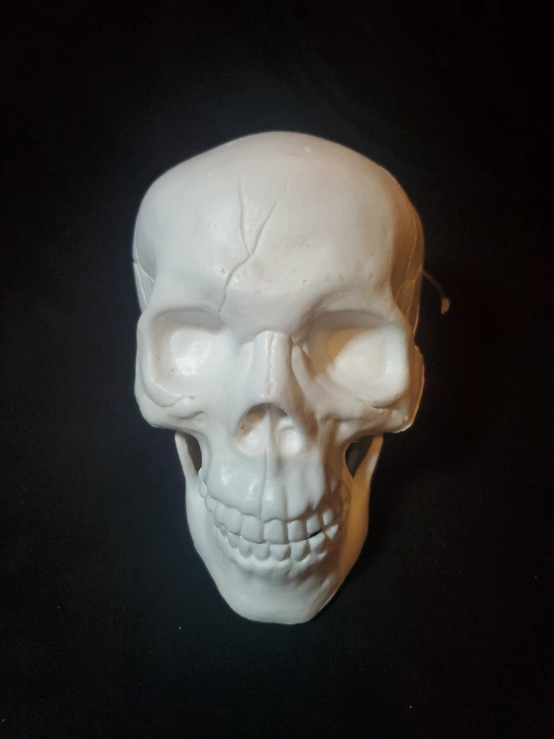 Halloween Decorative Prop SKULL White