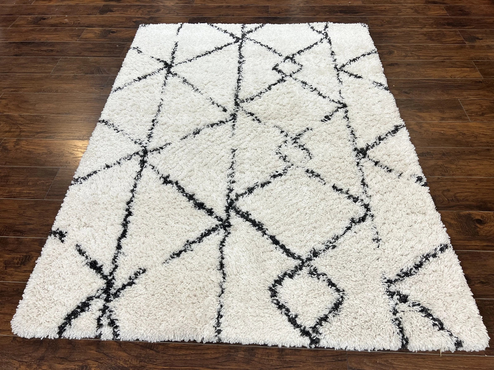 Modern Shag Rug Ivory and Black Area Rug 7'x10'