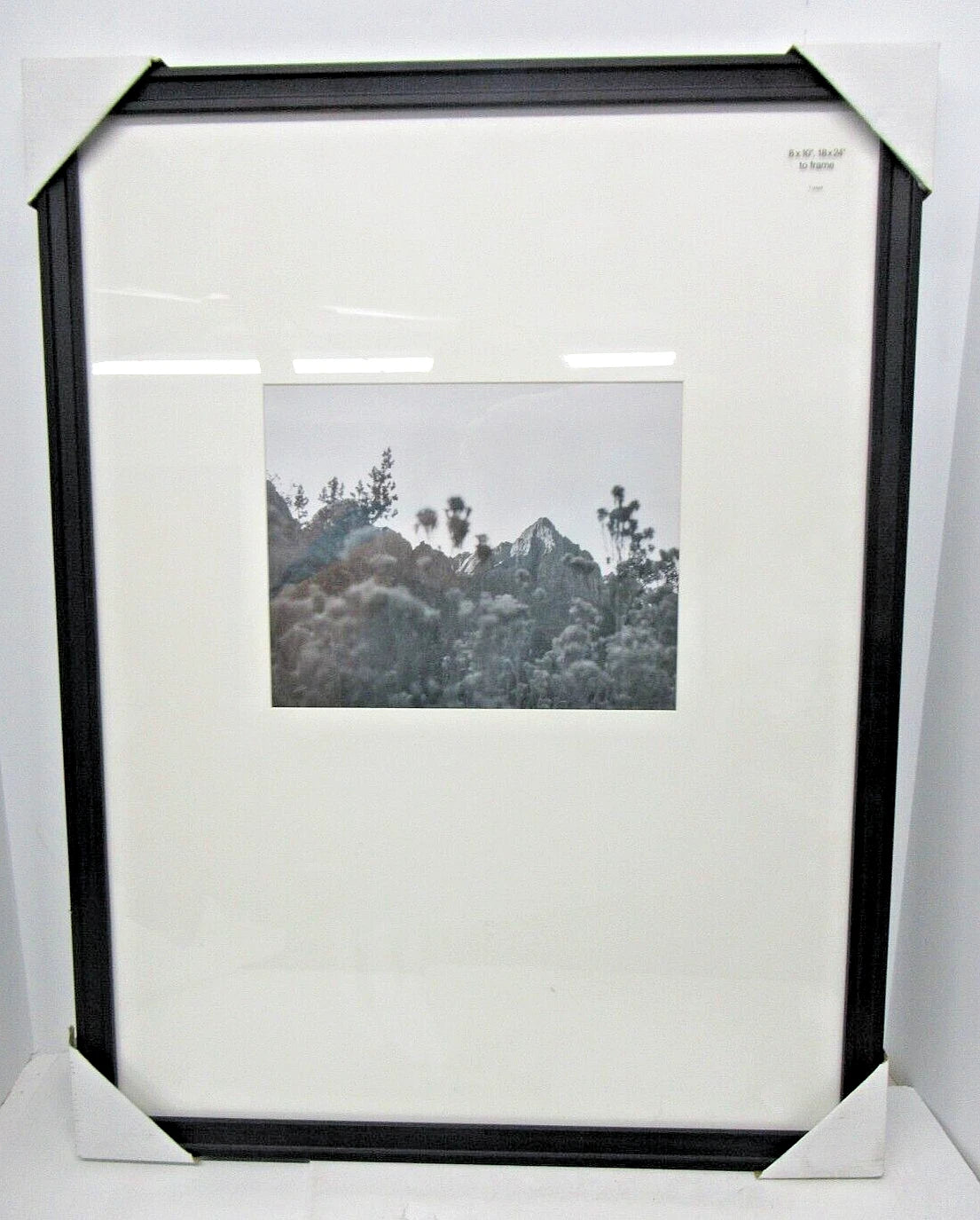 Gallery Single Image Frame Black