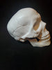 Halloween Decorative Prop SKULL White