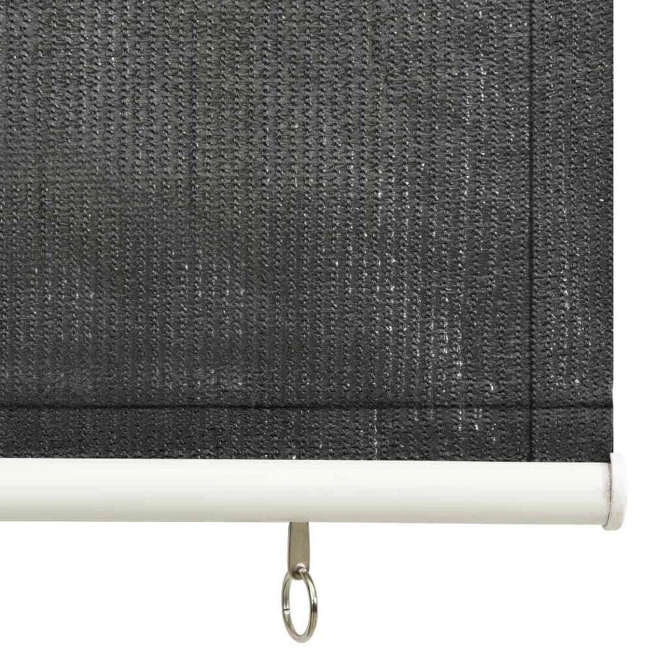 Outdoor Roller Blind Anthracite vidaXL