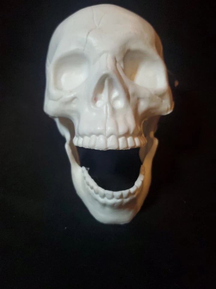Halloween Decorative Prop SKULL White