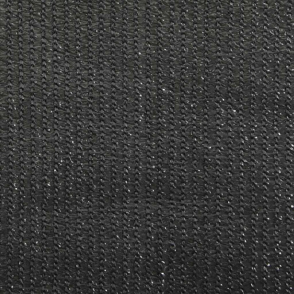 Outdoor Roller Blind Anthracite vidaXL