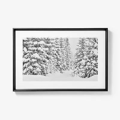 Winter Tree Scene Framed Wall Art Print