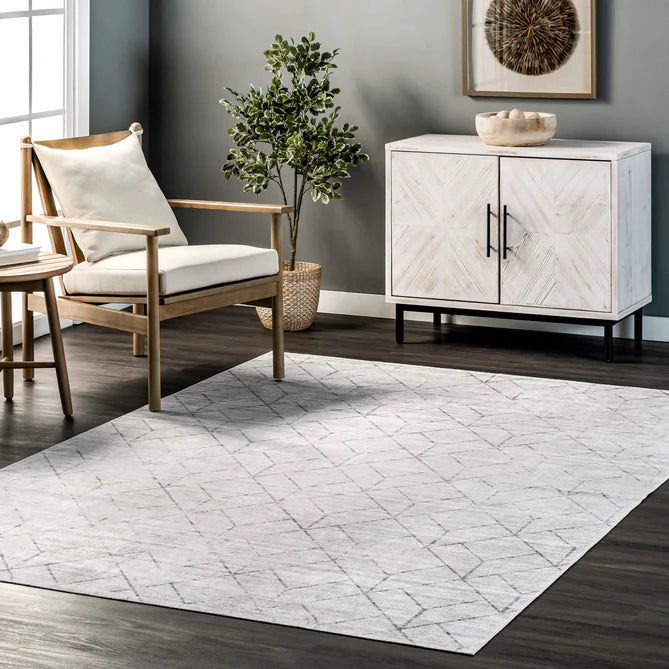 Regan Modern Geometric Machine Washable Area Rug