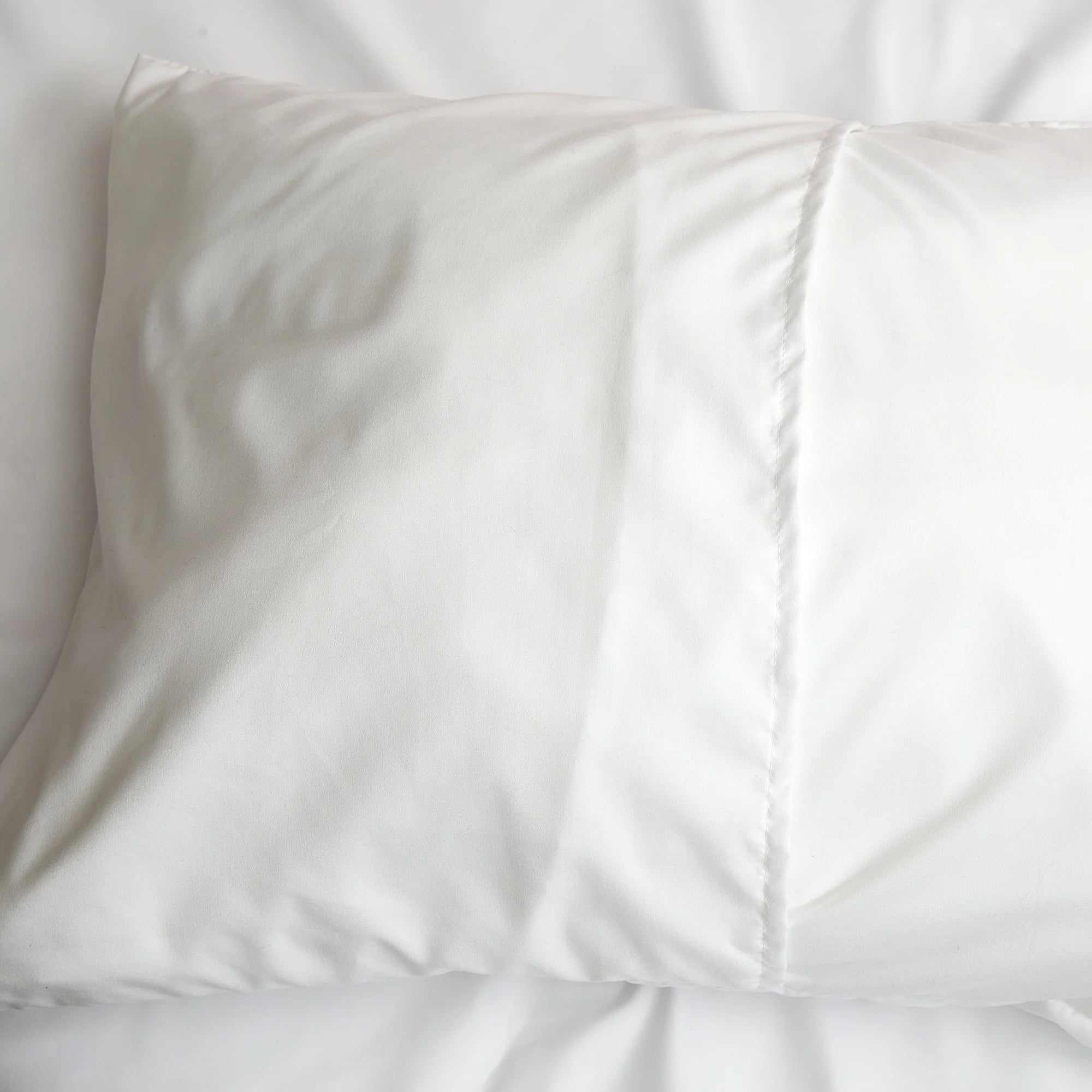 Pillow Sham Spring Paisley - Single