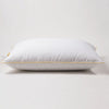 ZZZs Feather Fiber Pillow Insert - Standard/Queen