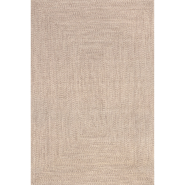 Wynn Braided Indoor/Outdoor Area Rug