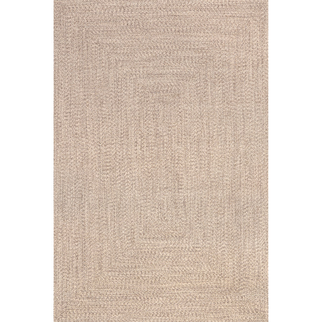 Wynn Braided Indoor/Outdoor Area Rug