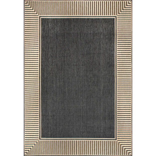 Asha Simple Border Indoor/Outdoor Area Rug 8'x10'