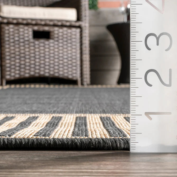 Asha Simple Border Indoor/Outdoor Area Rug 8'x10'