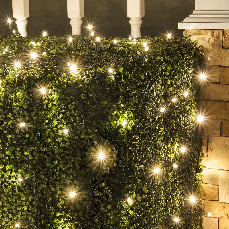 100 Light Net LED Net Light (Set of 2)