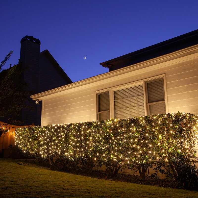 100 Light Net LED Net Light (Set of 2)