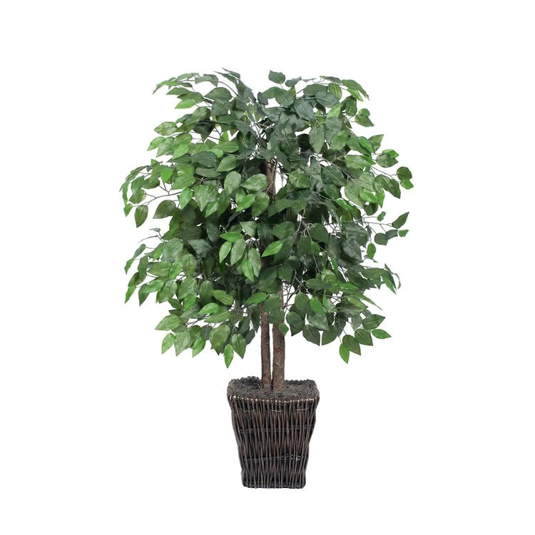 4' Artificial Ficus in Square Willow Container