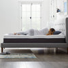 12'' Plush Mattress, CA king