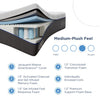 12'' Plush Mattress, Queen