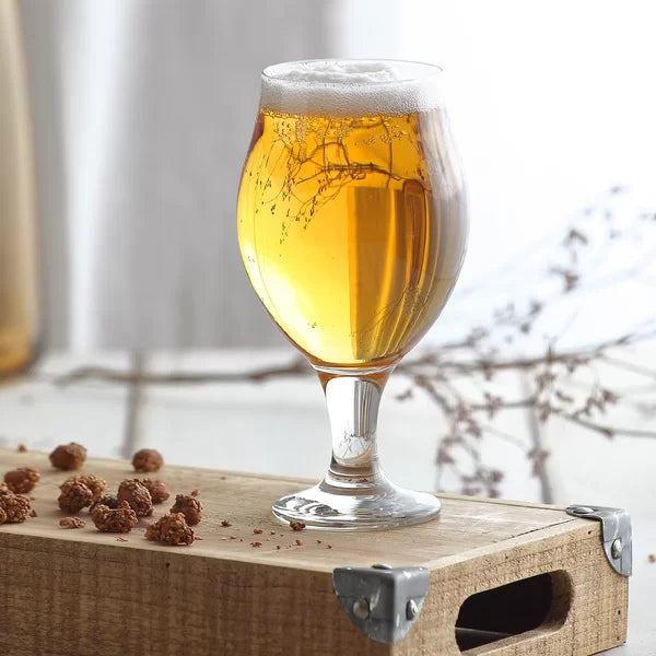 19.25 oz. Tulip Beer Glasses (Set of 6)